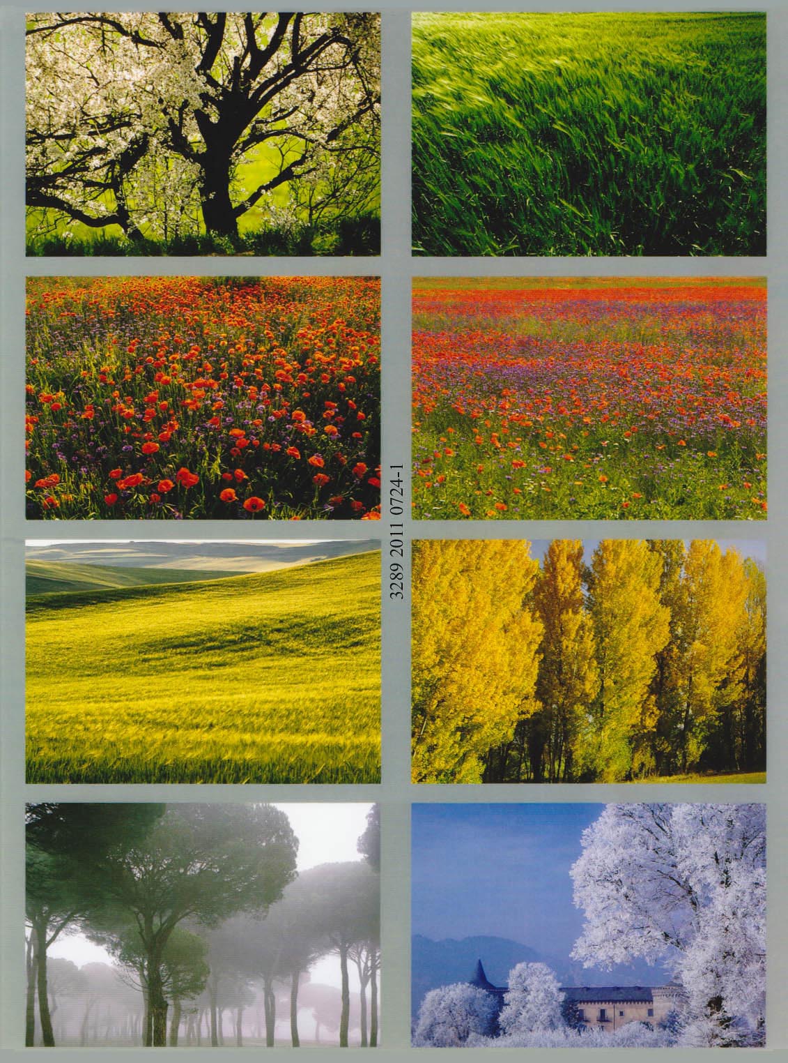 Paisajes de Castilla y León
© 2016 Michael Reckling / Valladolid, España
* prohibida la reproducción *