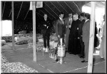 008-festival-marroqui-hotel-marbella-hilton