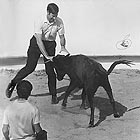 8grupo