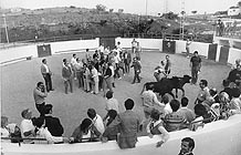 6grupo